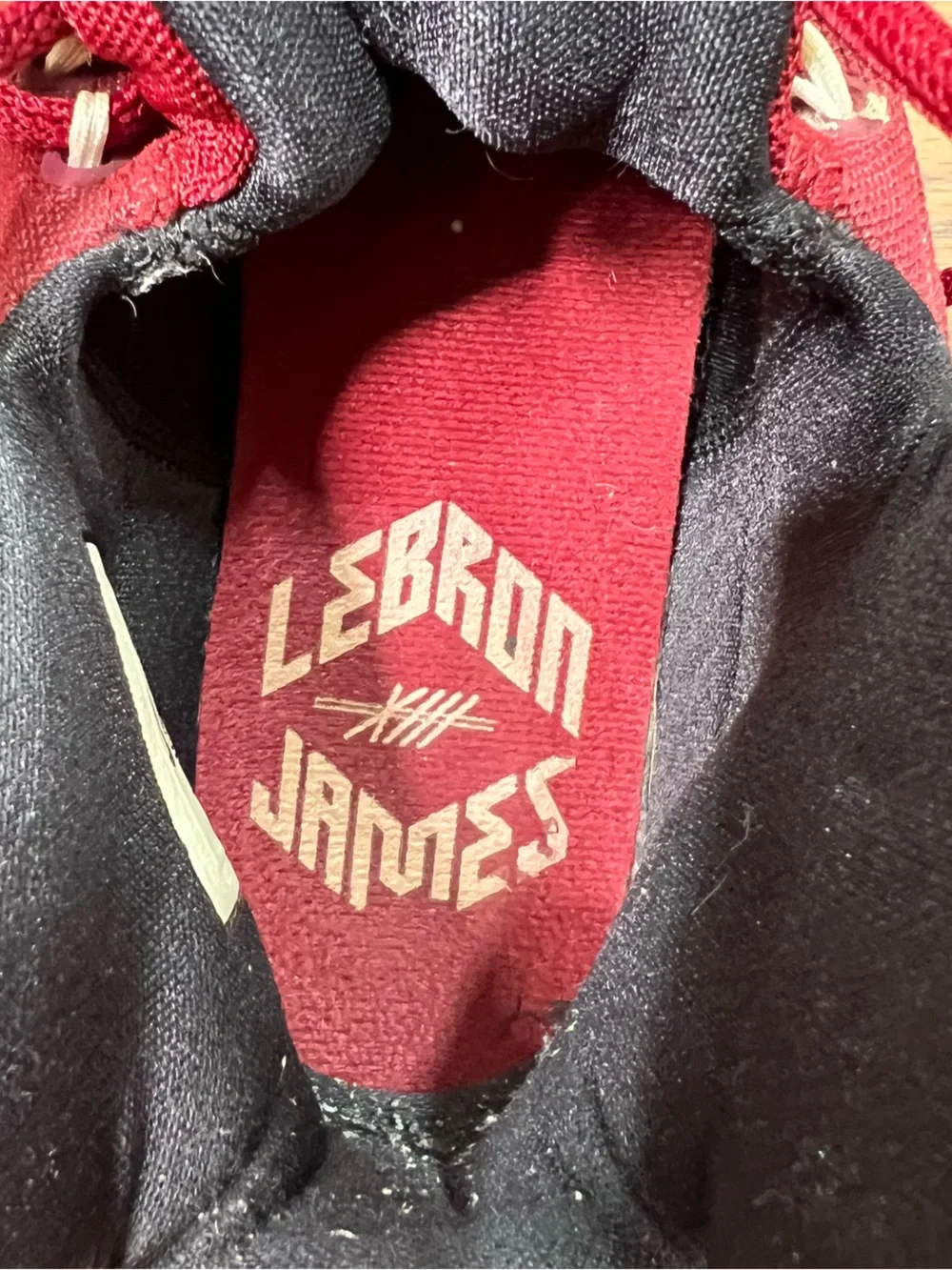 Nike LeBron 13 sneakers in the 